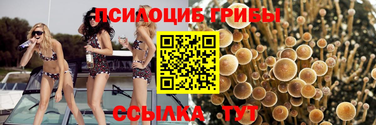 Великие Луки  Галлюциногенные грибы GOLDEN TEACHER  Вход с VPN 